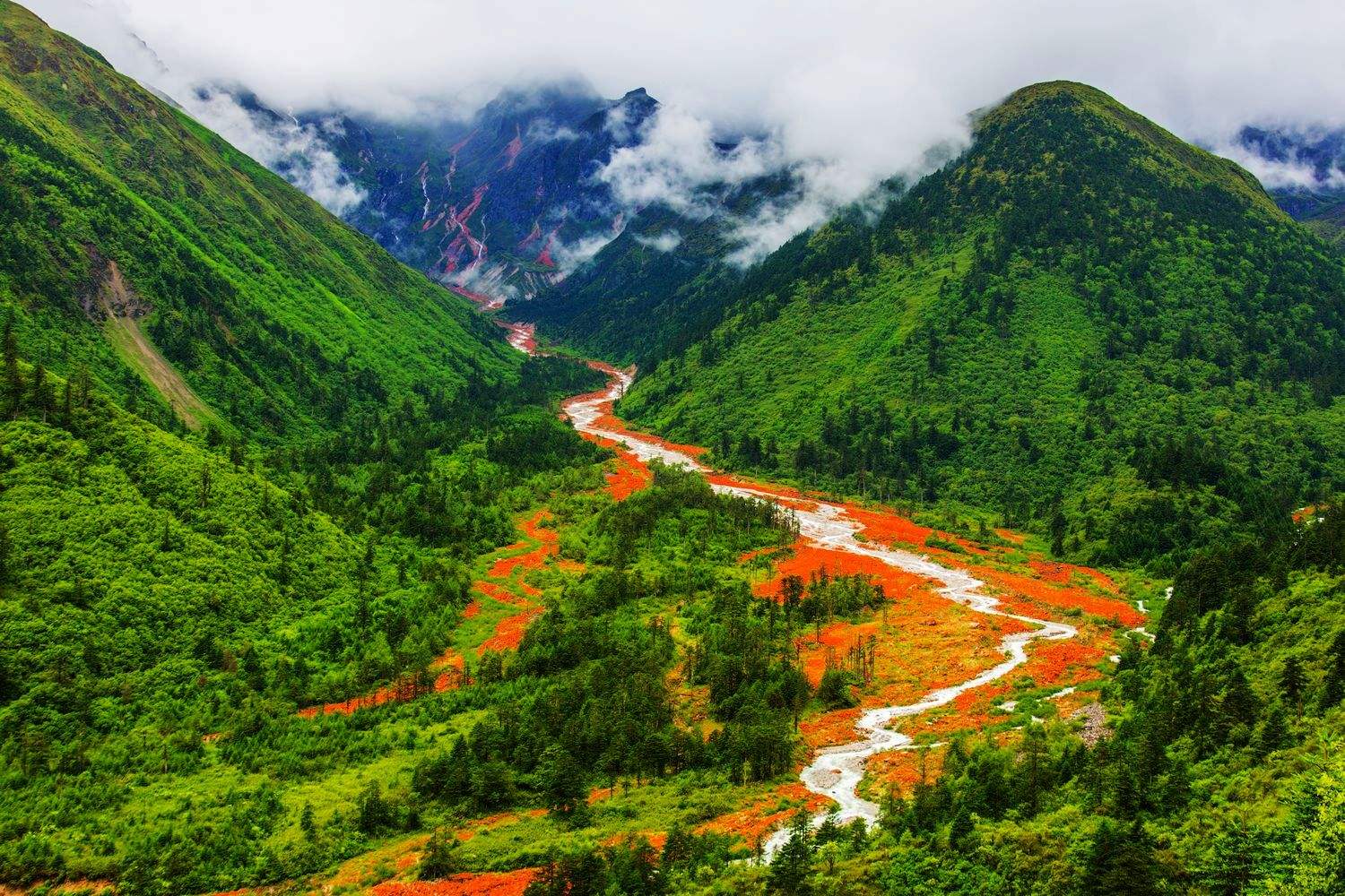 四川科技之光，重塑生活体验之旅