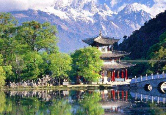 云南尊礼,领导与朋友共聚盛会