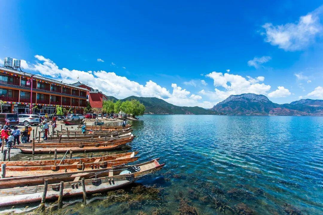 云南尊礼,领导与朋友共聚盛会